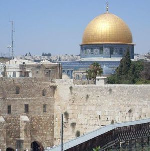 Meet your Posher, Yoon